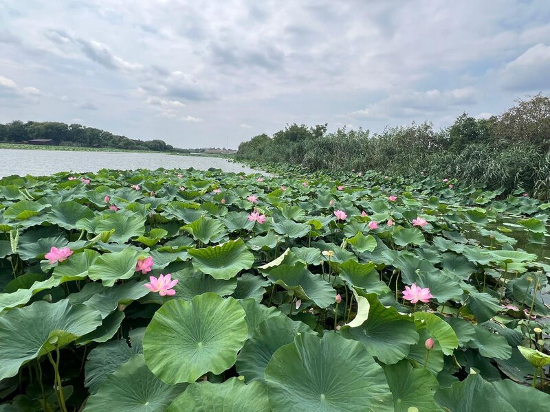 Snagov, Ghermanesti, vila inchiriere, langa lac