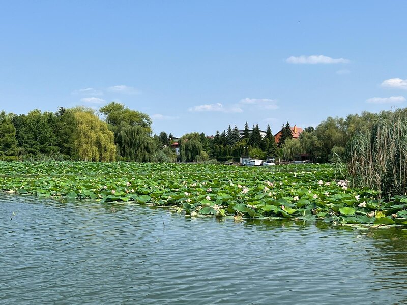 Snagov, Ghermanesti, vila inchiriere, langa lac